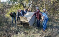 ÇAKAL - Yaban Hayvanları Doğaya Salındı