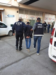 Cizre'de Narkotik Operasyonu Açıklaması 6 Tutuklandı