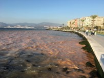 İZMIR SU VE KANALIZASYON İDARESI - İzmir'de Denizin Rengi Değişti, Vatandaşlarda Şaşırdı