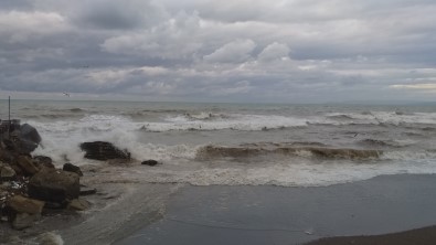 Karadeniz Kabardı, Dalgalar Sahili Kapladı