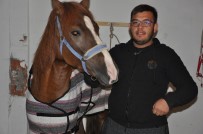 ŞIRINYER - Sandıklılı Rahvan Atçılar Türkiye Şampiyonasına Hazırlanıyor