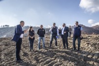 ORMAN BAKANI - Yangın Bölgesine İlk Fidanlar 11 Kasım'da