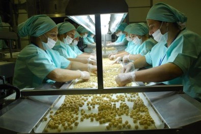 Avrupa'ya On Ayda Yaklaşık 10 Bin 632 Ton İç Fındık İhraç Edildi