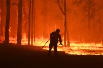 QUEENSLAND - Avustralya'da Orman Yangınları Güneye Doğru İlerliyor