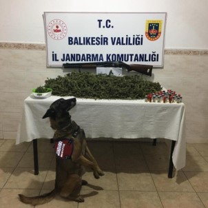 Bandırma'da Uyuşturucu Operasyonu  Açıklaması 4 Gözaltı