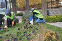 HÜSEYİN OPRUKÇU - Ereğli 50 Bin Çiçekle Süsleniyor