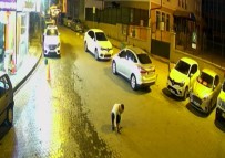 MASAJ - İşte Günün Kahramanı