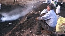 MANGAL KÖMÜRÜ - Mangal Kömürü İşçilerinin 'Ekmek' Mücadelesi