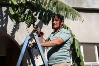 ÖRENCIK - Mezopotamya Ovasında Akdeniz İklimi Meyveleri Yetişmeye Başladı