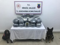 Narkotik Köpekleri Çalılar Arasına Gizlenmiş 60 Kilo Esrar Buldu
