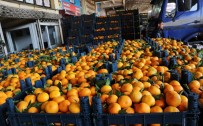 IRAK - Tonlarca Meyve Ve Sebze Kabzımalların Elinde Kaldı