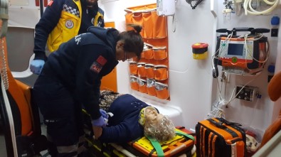 Yaşlı Kadın Huzurevinden Kaçmak İsterken Yaralandı