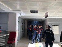 İTİRAF - 240 Koyunu Çalan 2 Kişi Yakalandı