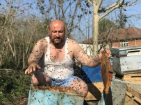 İSLAMDAĞ - 'Arılar Beni Tanır' Dedi, Yarı Çıplak Peteklerin Arasına Daldı