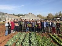 HALIL DEMIR - Bahçe Bitkileri Öğrencileri Sebzeleri Kendileri Üretiyorlar