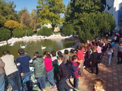 Birecikli Öğrenciler Ara Tatilde Hayvanat Bahçesini Gezdi