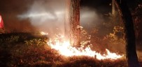 Çanakkale'de Korkutan Yangın