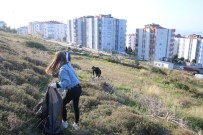 SOSYAL SORUMLULUK PROJESİ - 'Çevre İçin El Ele' Etkinliği