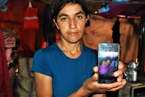 Evrim, 500 Gündür Kayıp