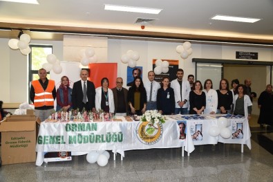 Koah Günü İçin Fidanlı Farkındalık Etkinliği