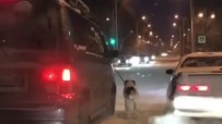 KÖPEK - Komşusuna Kızdı, Köpeğini Buz Tutan Yolda Yürüttü