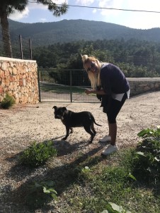 Ünlü Müzisyen Ayça Tekindor, Hayvanseverlere Seslendi; 'Artık Birleşip, Baş Kaldıralım'