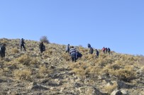 DAVUL ZURNA - Ağrı'da Öğretmenler Bubi Dağı'na Tırmandı