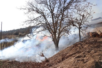Bolu'da Samanlık Yangınında Yüzlerce Tavuk Telef Olmaktan Kurtarıldı