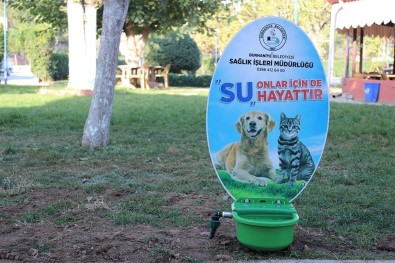Burhaniye'de Sokak Hayvanlarına Suluk
