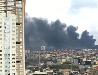 Çekmeköy'de orman yangını