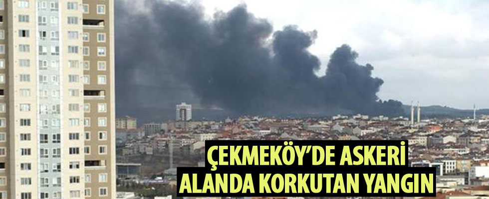 Çekmeköy'de orman yangını
