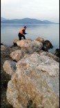 KÖPEK - Denize Düşen Köpek İtfaiye Tarafından Kurtarıldı