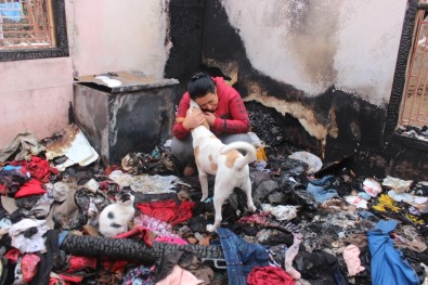 Evleri Yanınca 15 Kedi Ve 2 Köpeğiyle Evsiz Kald