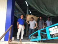 GİRESUN - 'Fındık Altına Dönüştü'