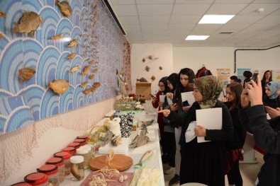 Liseli Gençler Düzce Üniversiteni Ziyaret Etti