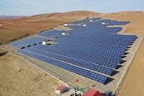 HİLMİ BİLGİN - 50 Dönümlük Enerji Tarlası, Sivas'ta Kuruldu