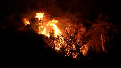 Samandağ'da Tarihi Mağaralara Yakın Yerde Çıkan Yangın Kontrol Altına Alındı