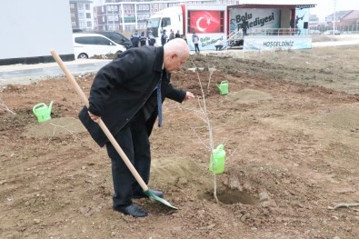 Bolu'da, 'Öğretmenler Günü' Hatıra Ormanı Oluşturuldu