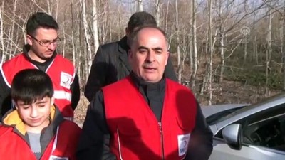 Nemrut'taki Yavru Ayılara Ziyaretçi İlgisi