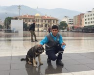SOKAK KÖPEKLERİ - Temizlik İşçisi İle Sokak Köpeğinin Kıskandıran Dostluğu