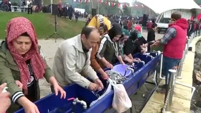 Zonguldak'ta Düzenlenen Hamsi Festivalinde 10 Ton Balık Dağıtıldı