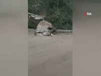 Çin'de Deprem Açıklaması 1 Ölü