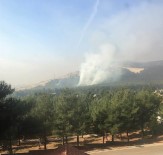 ARSLANBEY - Çocukların Ateşle Oyunu Ormanı Yakıyordu