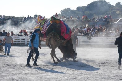 Germencik'de Develer 'Güvenlik' İçin Güreşti