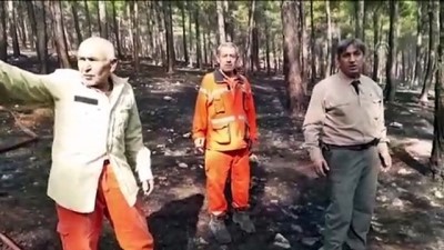 Kahramanmaraş'ta Çıkan Orman Yangınında 2 Hektar Alan Zarar Gördü