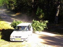 USULSÜZLÜK - Ormanlardaki Usulsüzlükler Foto Kapanlara Yakalandı