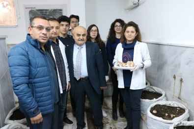 Arkadaşlarının Eğitimine Destek Olmak İçin Okulda Mantar Üretiyorlar