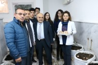 BIYOLOJI - Arkadaşlarının Eğitimine Destek Olmak İçin Okulda Mantar Üretiyorlar