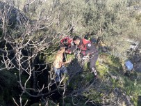 Böyle Yakalanmıştı, İstenilen Ceza Belli Oldu