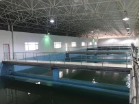 İÇME SUYU - Cizre Arıtma Tesisinde Bakım Onarım Ve Temizleme Çalışması